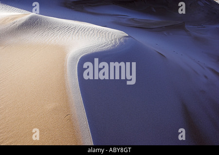Givre sur une crête en courbe d'une dune de sable à l'exploitation des sables bitumineux de Forvie réserve naturelle sur la côte de l'Aberdeenshire, en Écosse. Banque D'Images
