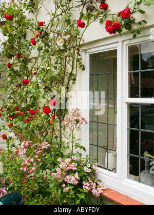 Roses rouges à côté d'une escalade dans la fenêtre Aldbourne Wiltshire England UK UE Banque D'Images