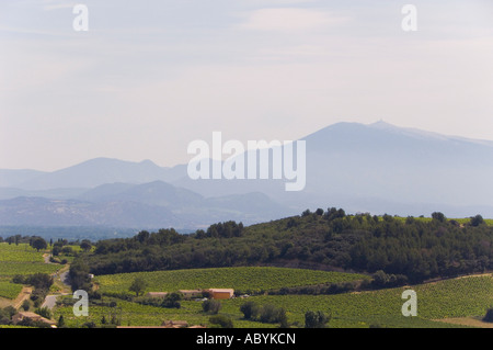 Châteauneuf du Pape près d'Avignon Provence France vineyard vue paysage de la ville en direction du Mont Ventoux Banque D'Images