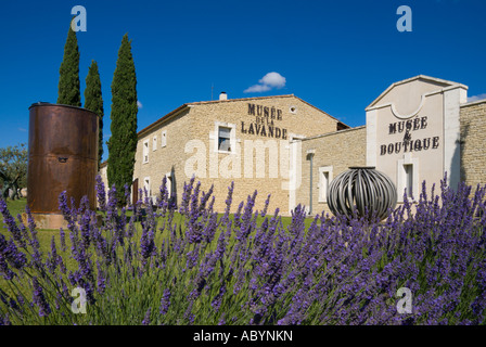 Au Musée de la Lavande musée de la lavande, une attraction touristique à Cabrières Vaucluse provence france Banque D'Images