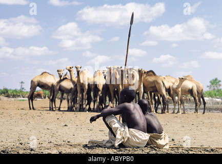 Jeunes Gabbra veille sur un point d'eau potable les chameaux Kalacha Chalbi Desert au nord du Kenya, Afrique de l'Est Banque D'Images