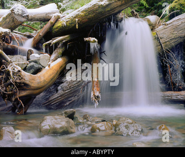 Cascade de glace dans le parc national Olympic Banque D'Images