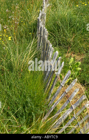 Ligne de clôture dans les dunes de sable point beach weston super mare somerset England uk Banque D'Images