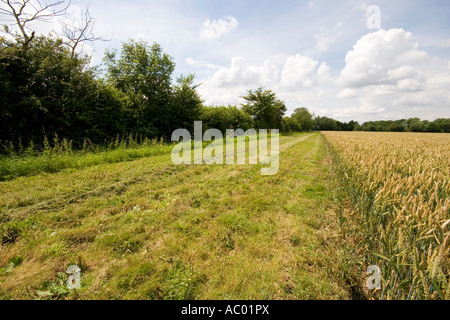 Un ensemble de six mètres de côté sur les terres agricoles de Suffolk Banque D'Images