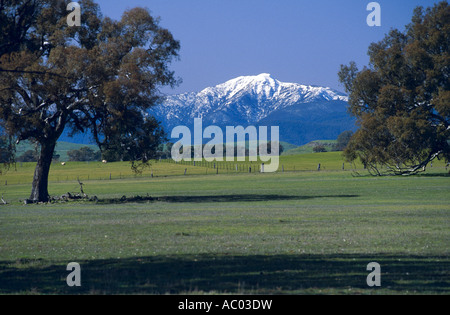 Mt Buller près de Mansfield, Alpes du Sud, Victoria, Australie, ne l'horizontale Banque D'Images