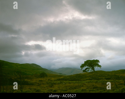 À l'ouest de Glen Quoich Loch Garry NW Highlands Scotland UK Banque D'Images