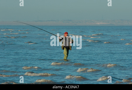 Un pêcheur jette dehors dans le seigle Bay Banque D'Images