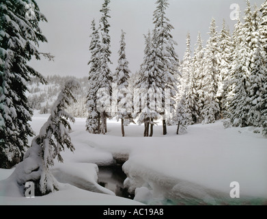 Scène d'hiver profonde près de Todd Lake dans le centre de l'Oregon Banque D'Images