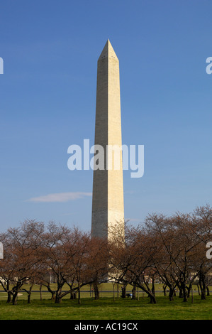 Monument de Washington DC USA Banque D'Images