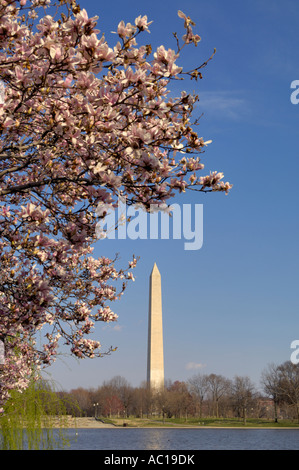 Monument de Washington DC USA Banque D'Images