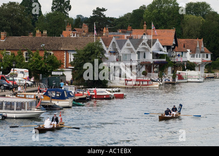 Cygne sur la Tamise Henley sur la Tamise Oxfordshire Angleterre The Vintners and Byers Company skiffs 2000 20007 HOMER SYKES Banque D'Images