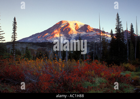 Début de la lumière sur le Mont Rainier au-dessus de couleur à l'automne le long du sentier du lac neige Mount Rainier National Park New York USA Banque D'Images