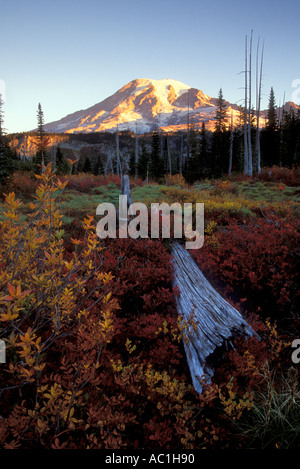 Mt Rainier au-dessus de couleur à l'automne le long du sentier du lac neige Mount Rainier National Park New York USA Banque D'Images