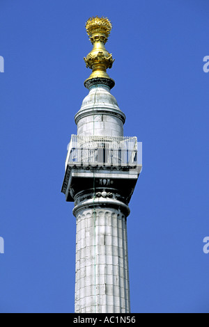 La plate-forme panoramique au sommet du monument au grand incendie de Londres en 1666. Banque D'Images