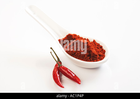 Piment de Cayenne moulu et red chili pod Banque D'Images