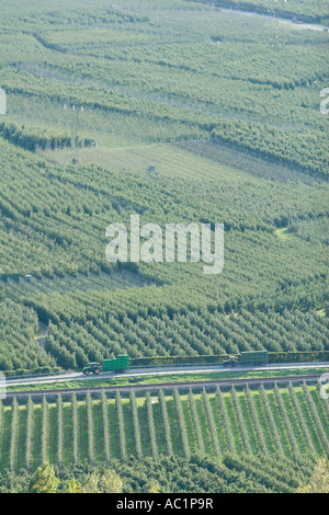 Transport de tracteurs dans les champs de pommes de Vinschgau pommiers, Alto Adige, Italie Banque D'Images