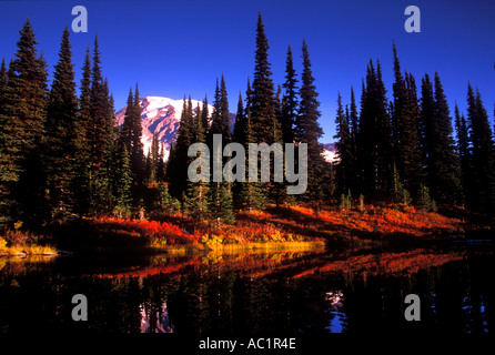 Mt Rainier au-dessus de couleur à l'automne le long du sentier des lacs dans le Parc National de Mount Rainier Washington USA Banque D'Images