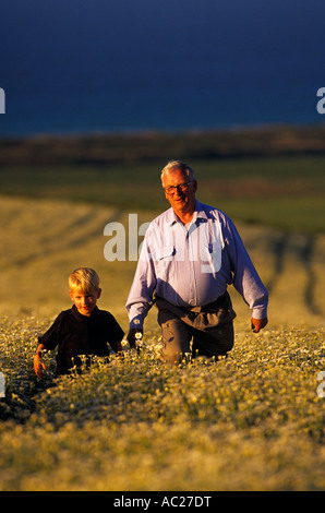 L'homme et son petit-fils dans la floraison le pyrèthre paddock, Tasmanie, Australie, vertical, Banque D'Images