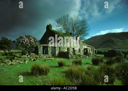 Bâtiment de ferme abandonné dans la campagne SNOWDONIA PAYS DE GALLES ROYAUME-UNI EUROPE Banque D'Images