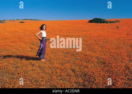 Une jolie jeune femme debout blanc parmi une vaste étendue de l'Afrique du Sud Namaqualand daisies Banque D'Images