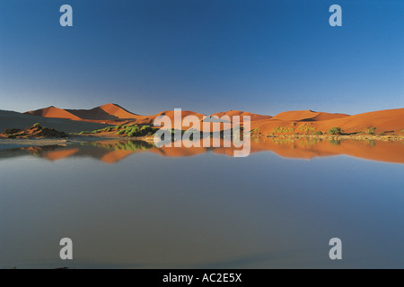 De rares inondations à Sossusvlei rempli d'eau après la pluie plus de 30 ans dans le Parc National de Namibie Namib Naukluft Banque D'Images