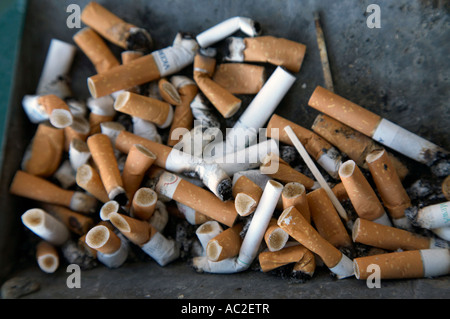 Mégots de cigarettes utilisé dans une pile à cogné un cendrier Pologne Banque D'Images