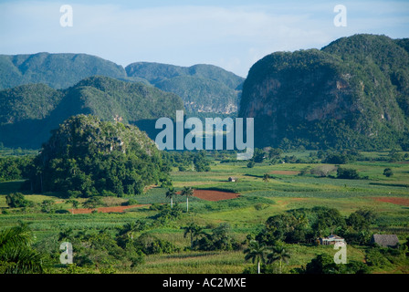 Campagne cubaine dans la vallée de Vinales, Cuba. Banque D'Images