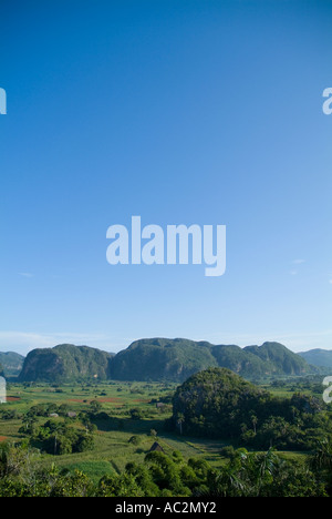 Campagne cubaine montrant une végétation luxuriante parmi les Mogotes de la Vallée de Vinales, Cuba. Banque D'Images