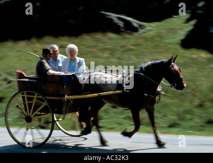 Gap of Dunloe, beaufort, Killarney, comté de Kerry, Irlande, des profils, les touristes appréciant un poney et piège à travers l'Irlande Banque D'Images