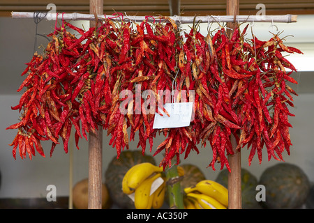 Le piment de cayenne, paprika (Capsicum annuum), au marché, les épices séchées au soleil, le Portugal, Madère, Funchal Banque D'Images