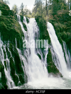 L'eau en cascade sur les pentes McArthur Burney Falls dans le Nord de la Californie Banque D'Images