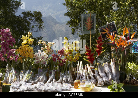 Orchidée cymbidium, hybride (Cymbidium-Hybride), avec grue et Heliconia fleur, vente de fleurs sur la route, le Portugal, Madère Banque D'Images