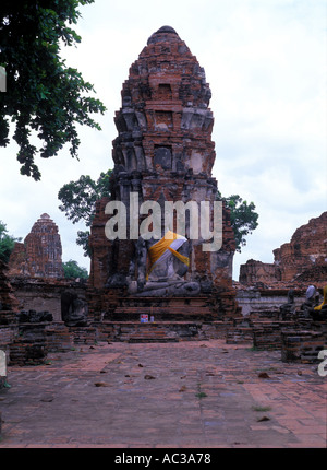 La ferme VILLE DE BANGKOK Ayutthaya, Thaïlande, ASIE Banque D'Images