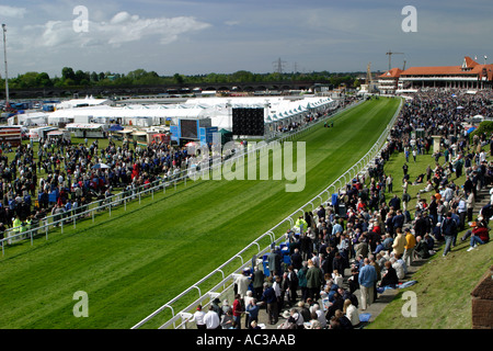 La foule et paniers hippodrome de Chester au cours de l'un des festivals d'été. Les visiteurs attendent les chevaux pour les transmettre par comme ils course autour du cours Banque D'Images