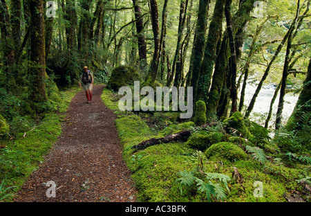 Milford Track, Fiordland National Park, Île du Sud, Nouvelle-Zélande, horizontal Banque D'Images