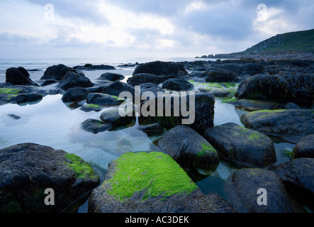 Rockpool et algues Angleterre Cornwall Banque D'Images