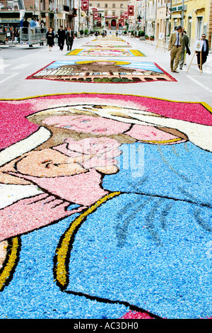 Street décorées de fleurs (tapis) dans Castelraimundo Le Marches Italie pour célébrer Corpus Christi/Domini Banque D'Images