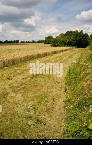 Un ensemble de six mètres de côté sur les terres agricoles de Suffolk Banque D'Images