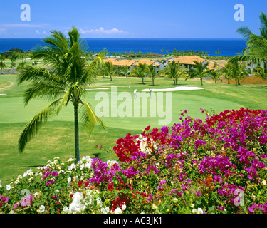 USA - HAWAÏ : Keauhou-Kona Golf sur la Big Island Banque D'Images