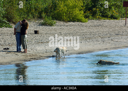 Kissing couple avec des chiens par le lac Ontario, Toronto Banque D'Images