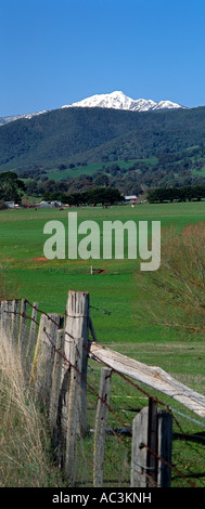 Mt Buller près de Mansfield, Alpes du Sud, Victoria, Australie NE, Vertical Banque D'Images