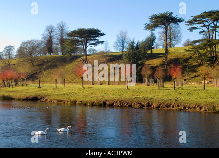 Les rives de la rivière Derwent par un beau matin d'hiver sur le domaine de Chatsworth, le Peak District, dans le Derbyshire Banque D'Images