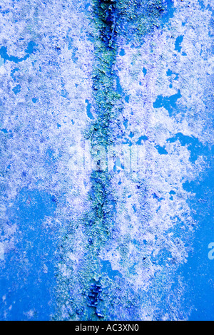 Motif texturé de couleur de rouille et les algues sur les feuilles d'acier Banque D'Images