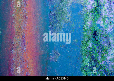 Motif texturé de couleur de rouille et les algues sur les feuilles d'acier Banque D'Images