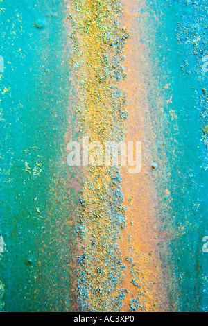 Motif texturé de couleur de rouille et les algues sur les feuilles d'acier Banque D'Images