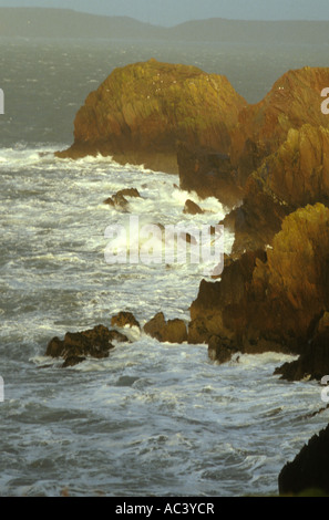 Temps orageux sur la rive nord du Skokholm Island nature reserve au large de la côte ouest du pays de Galles et chemin de la côte du Pembrokeshire Banque D'Images