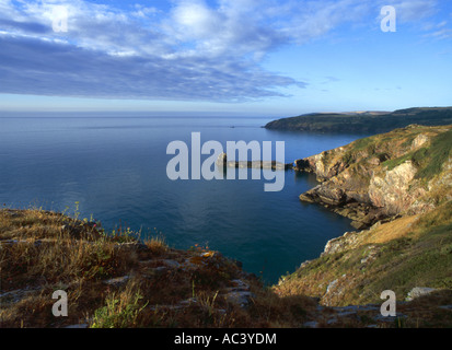 Berry Head National Nature Reserve près de Torquay Devon, Angleterre du sud Banque D'Images