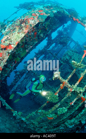 Scuba Diver plongée sur épave Umbria Soudan du Sud Mer Rouge Wingate Reef Banque D'Images