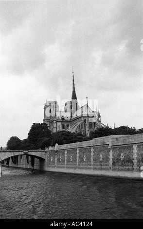 Vue de la Cathédrale Notre Dame de Paris à partir de la rivière Siene Banque D'Images