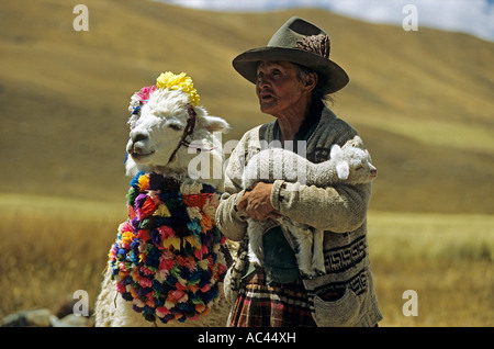 Vieille Femme avec un alpaga et portant un agneau dans ses bras.vieille femme accompagnée d'un alpaga et tenant un agneau dans ses bras Banque D'Images